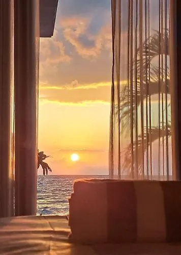 Orman Evi Penida Paradiso